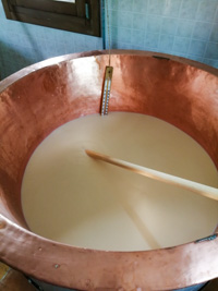 Alpeggio milk