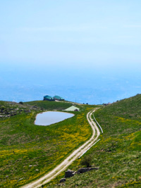 Malga Lower Clubs and its pasture pool