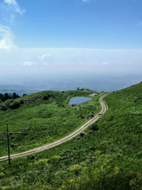 Malga Mazze Inferiori surrounded by greenery