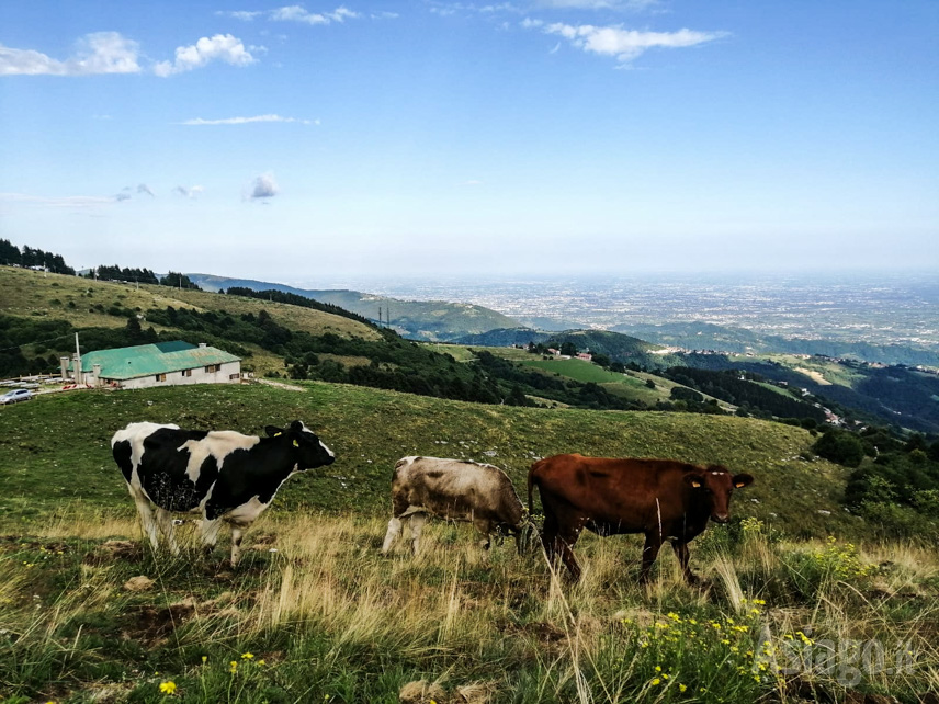 Malga Mazze Inferiori