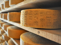 Asiago Dop Cheese Seasoning Warehouse