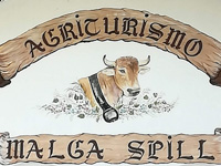 Farm holiday Malga Spill