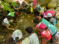 Learning by playing... on the organic farm