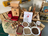 Workshops on the secret life of the chicken coop and the egg