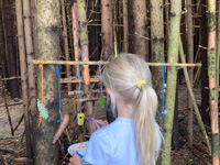 Creative educational workshop in the woods