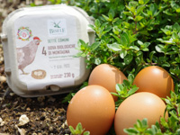 Organic eggs from the Bisele Agricultural Society