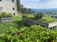 The educational garden of the Bisele Biofarm