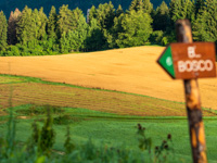 View of the fields and indication of the thematic route