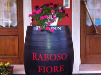 Raboso fiore