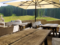 Wooden tables in the outdoor terrace overlooking the woods