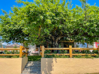 The restaurant's lovely outdoor garden