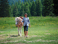 Passeggiata con cavallo presso rifugio campolongo