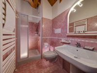 Comfortable bathroom with shower