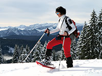 Ciaspolata sulla neve rifugio val formica