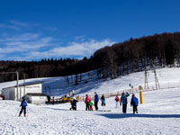 Famiglie sulla neve biancoia