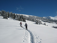 Ciaspolata tra la neve