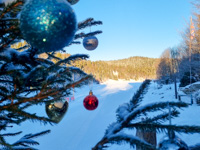 Tree with Christmas decorations