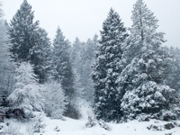 The first snowfalls at the Centro Fondo Monte Corno