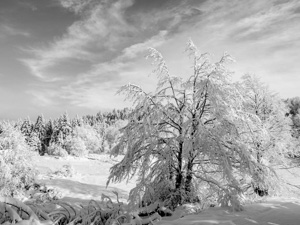 Snowy landscape near Baita Monte Corno