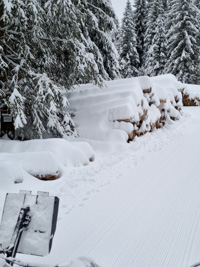 Snowshoe trails in the snow