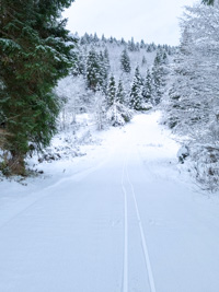 Ski slopes at the Monte Corno Cross-Country Centre