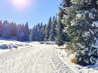 Cross-country ski trails at the Monte Corno Cross-Country Centre