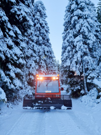 Preparation of cross-country ski trails