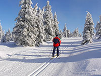 Cross-country skiing