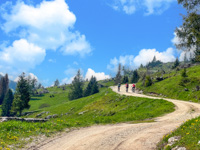 By E-Bike in the unspoiled nature of the Plateau