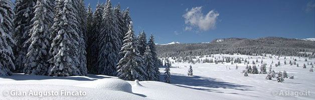 La Piana di Marcesina Innevata