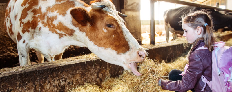 Educational farms Asiago plateau