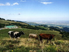 Malga Mazze Inferiori sull'Altopiano di Asiago