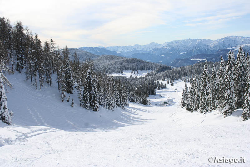 Sciovie Verena 2000: Le piste del Verena - Altopiano di Asiago 7 Comuni