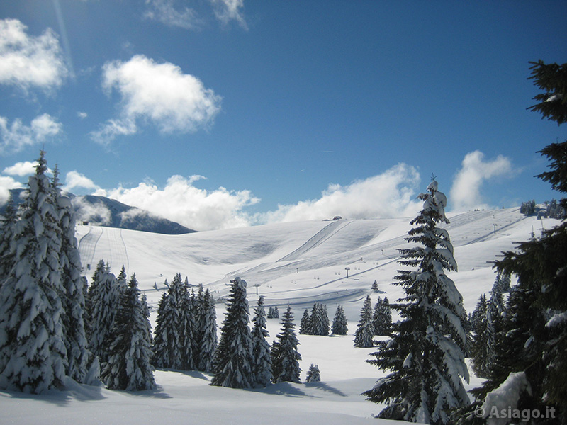 The slopes of the Val Formica Ski Area