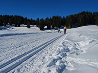 Cross-country track Posellaro