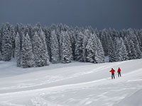 Mandrielle cross-country track