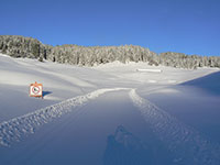 1 - La Piana slope