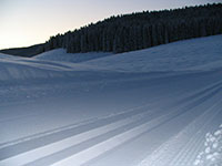 8 - Competitive track