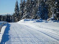 Pista Camposcuola e Ski Park