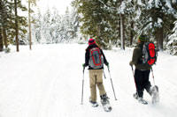 Schneeschuhtrails und Nordic Walking