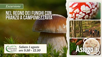 E08 Nel regno dei funghi con pranzo a Campomezzavia 01 08 26new