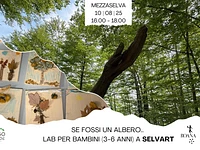 Laboratorio in natura per bambini "SE FOSSI UN ALBERO..." a SelvArt - Mezzaselva, domenica 10 agosto 2025 
