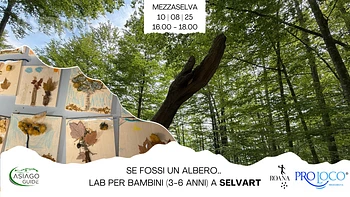 Se fossi un albero. Lab per bambini 3 6anni a SelvArt