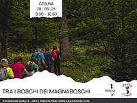 ESCURSIONE GUIDATA "Tra i boschi dei Magnaboschi" - Cesuna, giovedì 28 agosto 2025