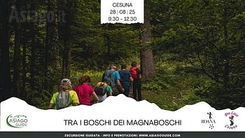 Escursione guidata tra i boschi dei Magnaboschi
