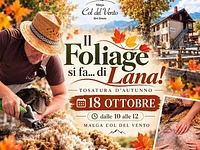 “Il Foliage si fa... di Lana!” Tosatura autunnale delle pecore a Malga Col del Vento - Cesuna di Roana, domenica 18 ottobre 2026