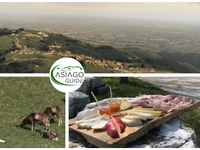 Animal encounters at sunset with dinner at Malga Cimo - Saturday 18 May 2024 from 5.30 pm