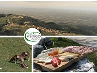 Animal encounters at sunset with dinner at Malga Cimo - Saturday 18 May 2024 from 5.30 pm