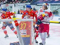 Partita Migross Supermercati Asiago Hockey vs EC RedBull Salzburg - ICE Hockey League 2024/2025 - 18 ottobre 2024