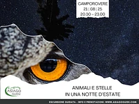 ESCURSIONE GUIDATA "Animali e stelle in una notte d’estate" - Camporovere, giovedì 21 agosto 2025
